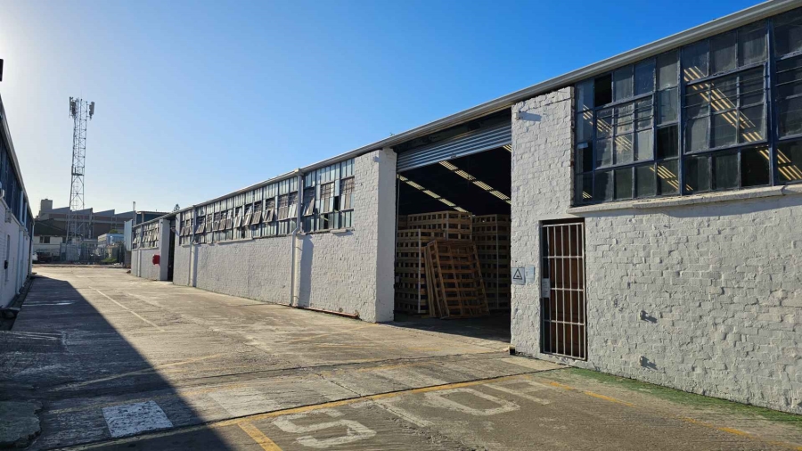 To Let commercial Property for Rent in Epping Industrial Western Cape